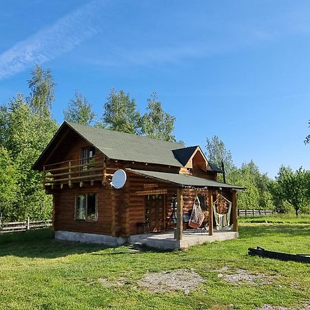 Musketeers Cabin Porumbacu de Sus Ngoại thất bức ảnh
