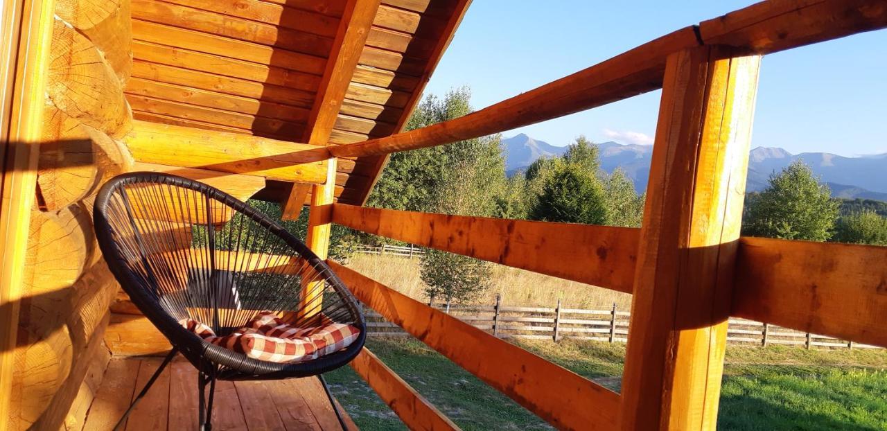 Musketeers Cabin Porumbacu de Sus Ngoại thất bức ảnh