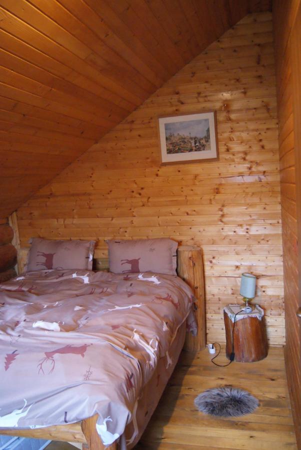 Musketeers Cabin Porumbacu de Sus Ngoại thất bức ảnh