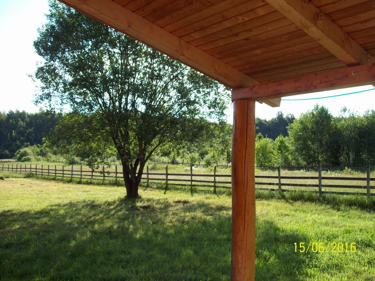 Musketeers Cabin Porumbacu de Sus Ngoại thất bức ảnh