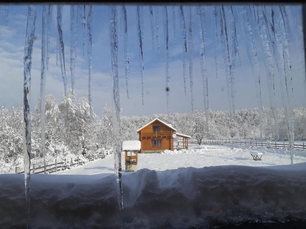 Musketeers Cabin Porumbacu de Sus Ngoại thất bức ảnh